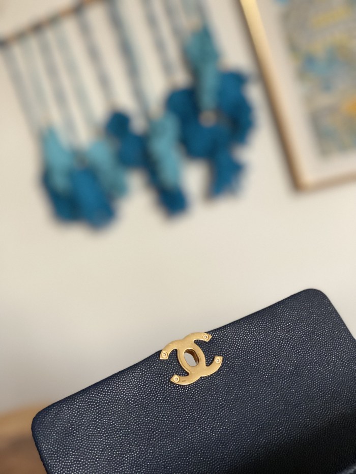 Handbag Chanel  3580  size  13*20*9.5 cm