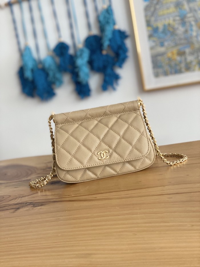 Handbag Chanel  AP3008  size  12X17.5X5.5 cm