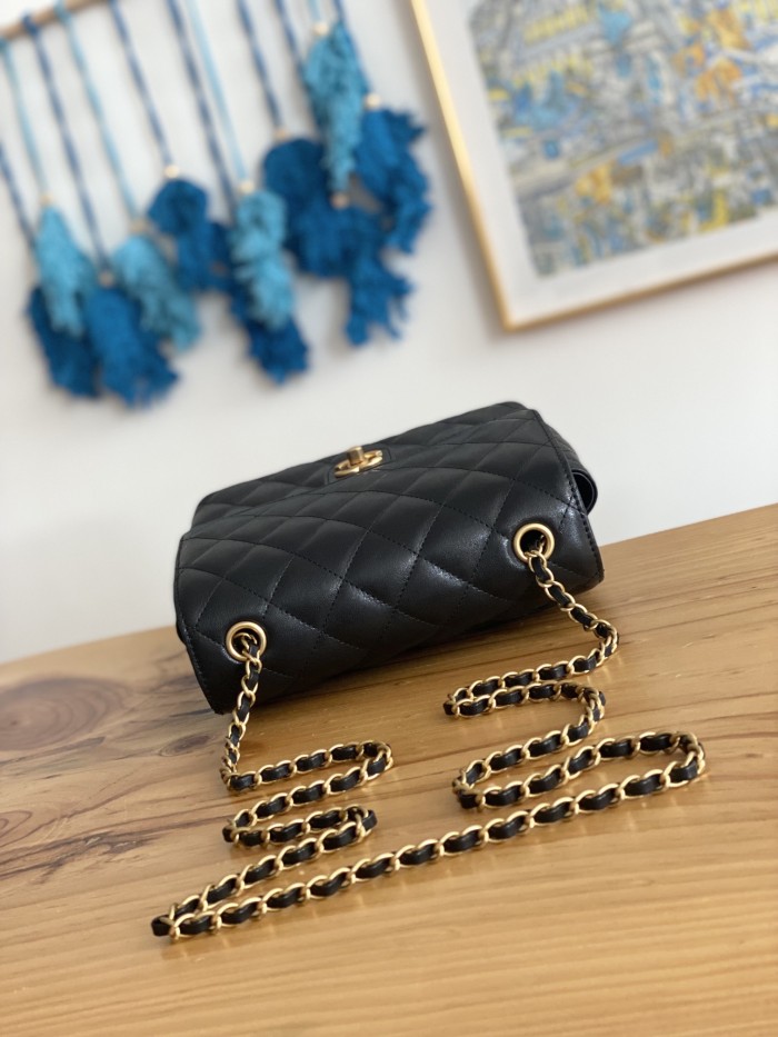  Handbag Chanel   3649  size  21  17  9  cm