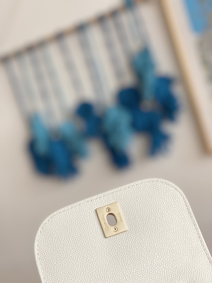  Handbag Chanel  AS3530  size 19*20*12 cm