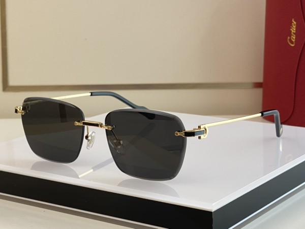 Sunglasses Cartier Première de Cartier CT0343 size: 58-18 145