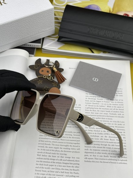 sunglasses Dior CD1595