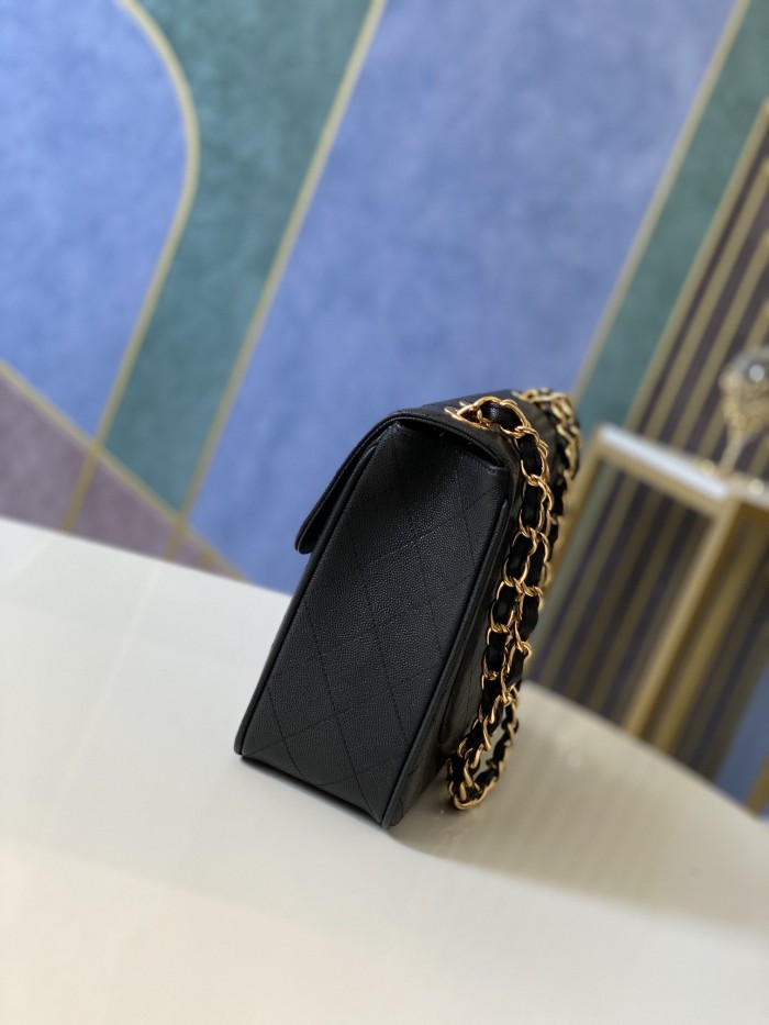 Handbag   Chanel   A88  size  30.21.8 cm