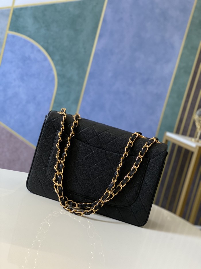 Handbag   Chanel   A88  size  30.21.8 cm