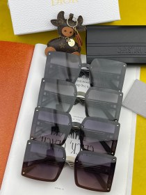 sunglasses Dior D1297