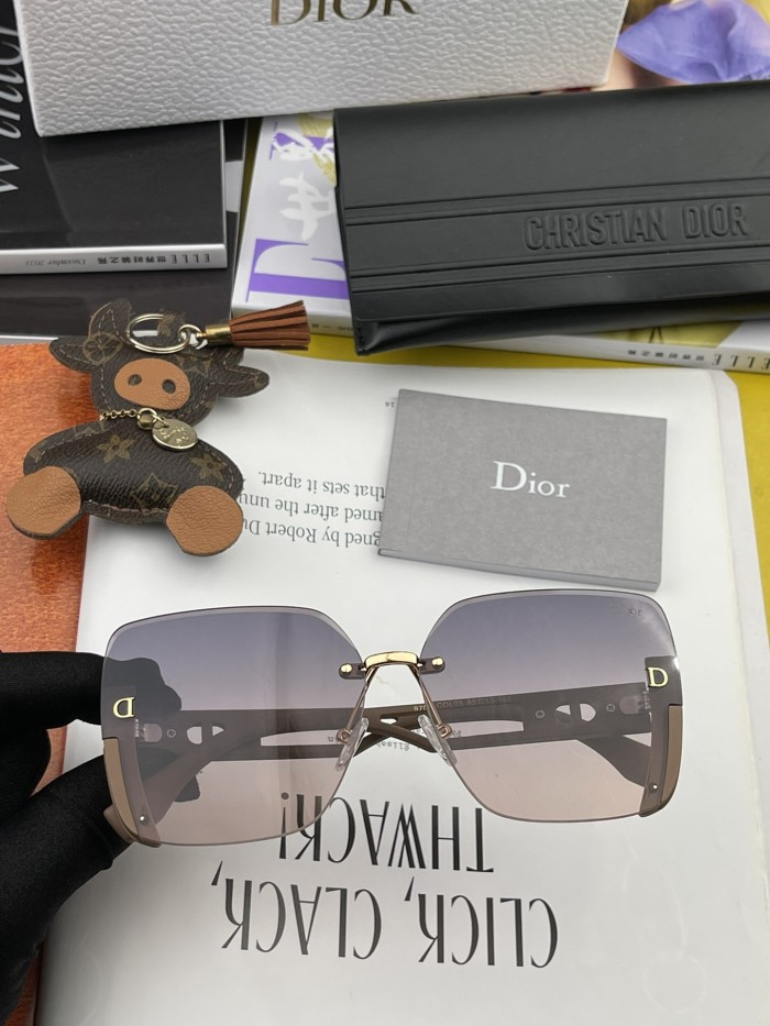 sunglasses Dior CD6970