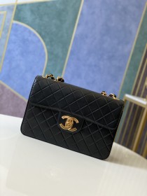 Handbag   Chanel  A88  size  30.21.8 cm