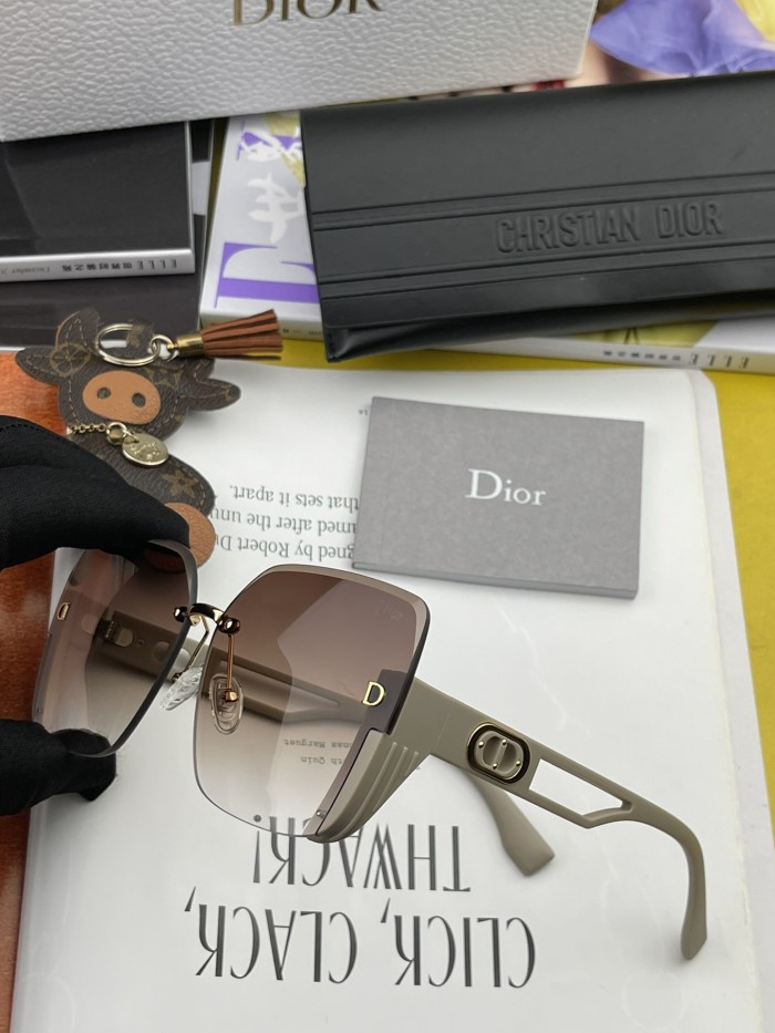 sunglasses Dior CD6970