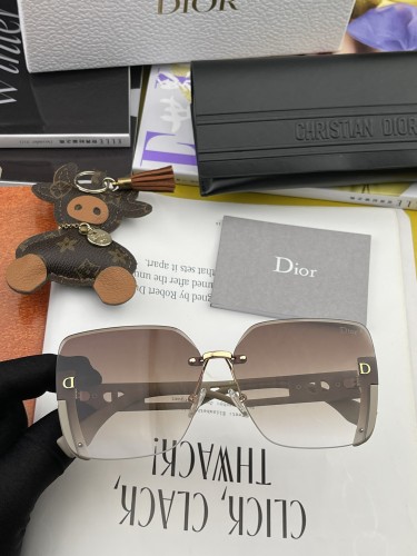 sunglasses Dior CD6970