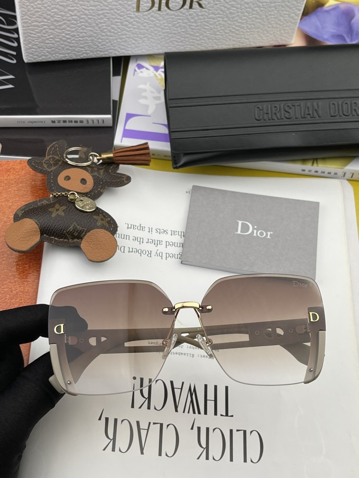 sunglasses Dior CD6970