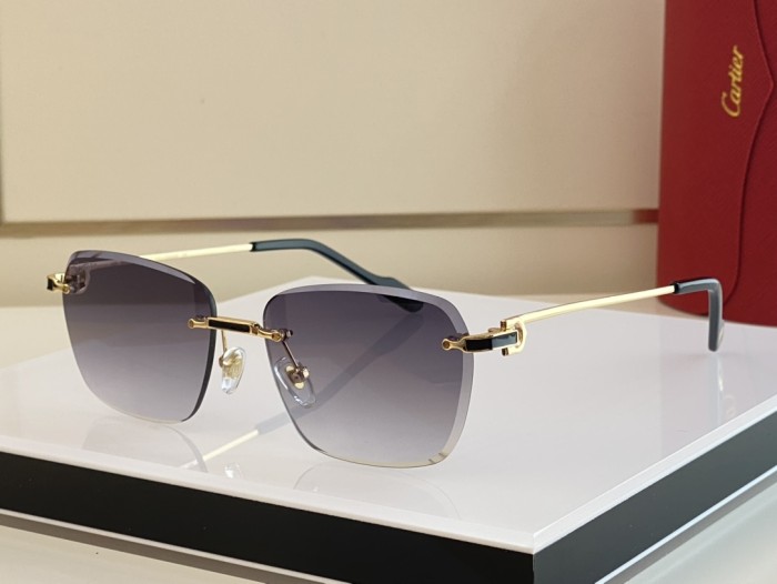 Sunglasses Cartier Première de Cartier CT0343 size: 58-18 145