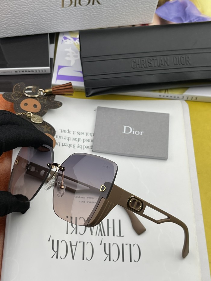 sunglasses Dior CD6970