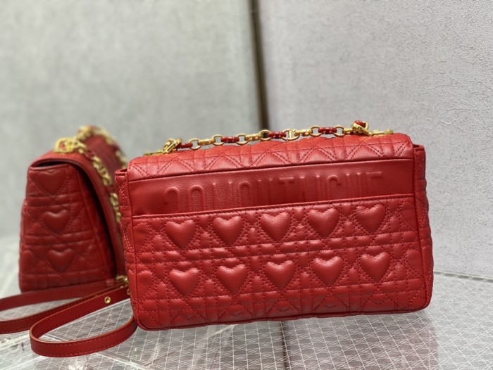 Handbag  Dior  size  25.5*15*8 cm