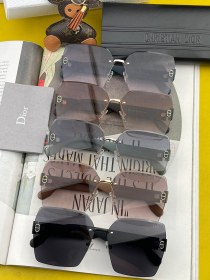 sunglasses Dior D8295