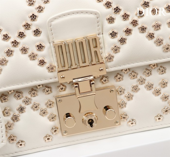 Handbag   Dior  size   21*3*13 cm