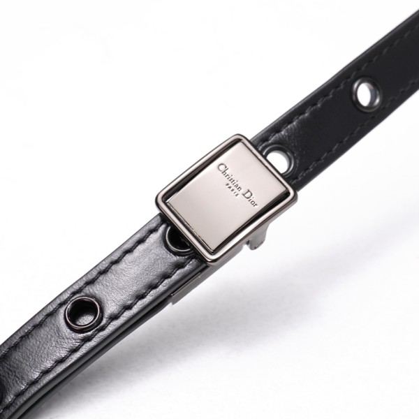  Handbag   Dior  2023  size  20x12x7  cm