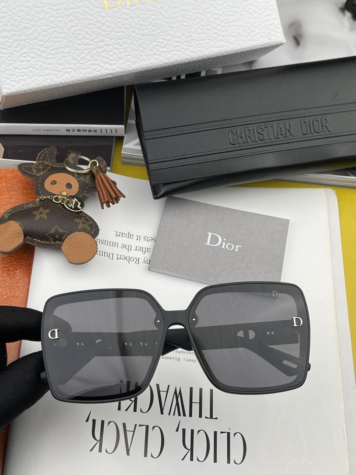 sunglasses Dior CD2296