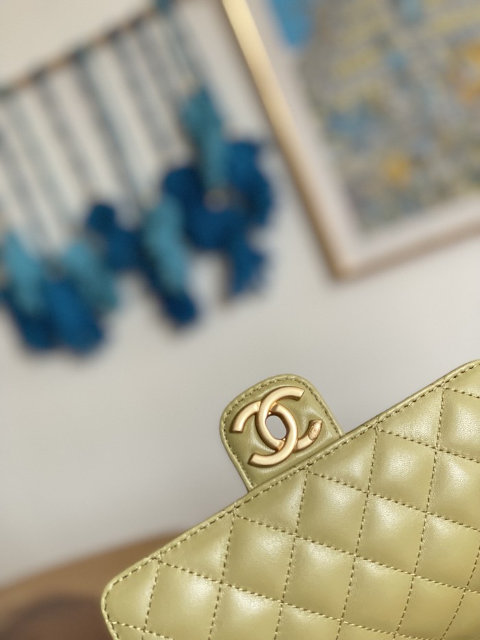  Handbag Chanel AS3737 size 14.5*19*6.5 cm