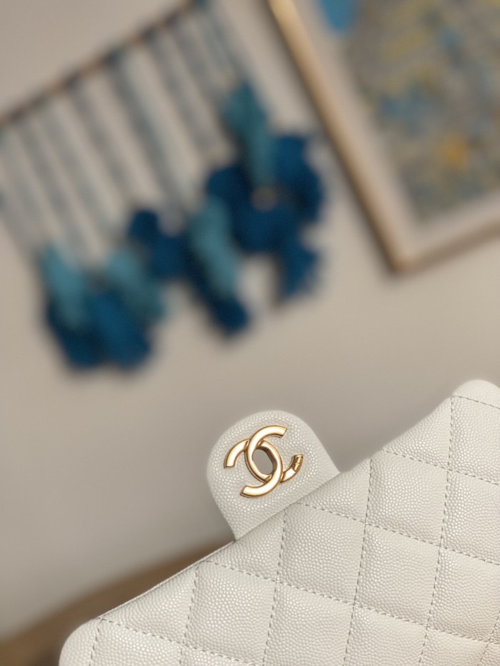 Handbag  Chanel  AS3757  size 14.5x20x6.5 cm 