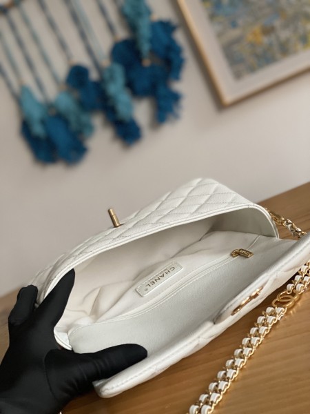 Handbag  Chanel  AS3777  size 16x24x8 cm