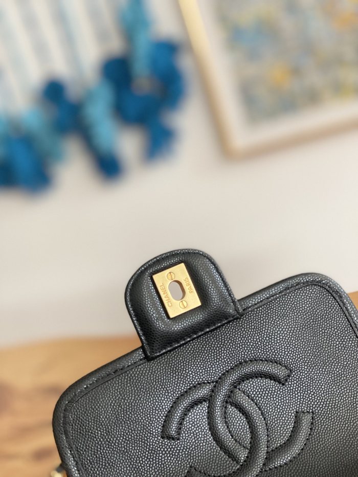  Handbag  Chanel AS3652 size 17x20.5x6 cm