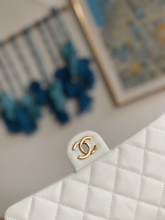 Handbag  Chanel  AS3777  size 16x24x8 cm