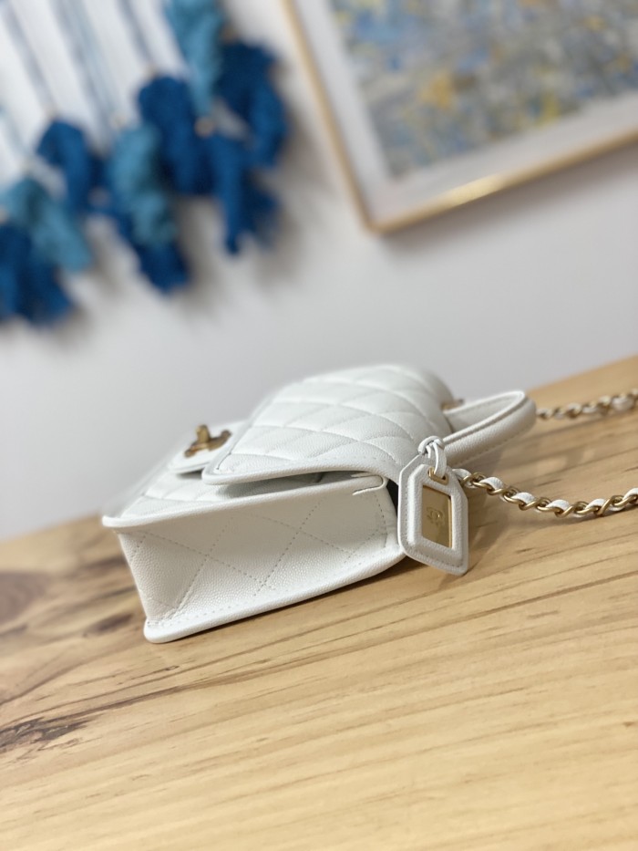  Handbag  Chanel AS3652 size 17x20.5x6 cm