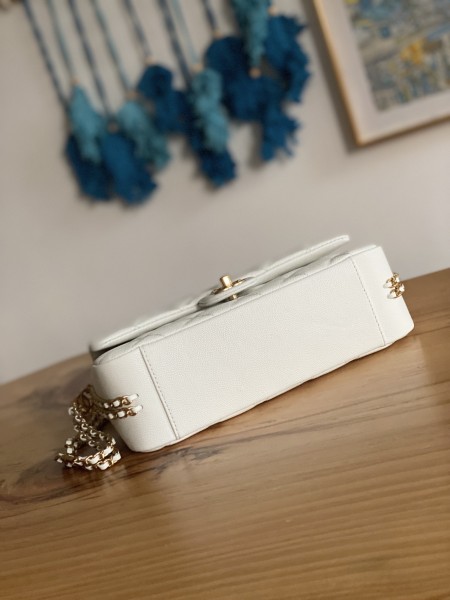 Handbag  Chanel  AS3777  size 16x24x8 cm