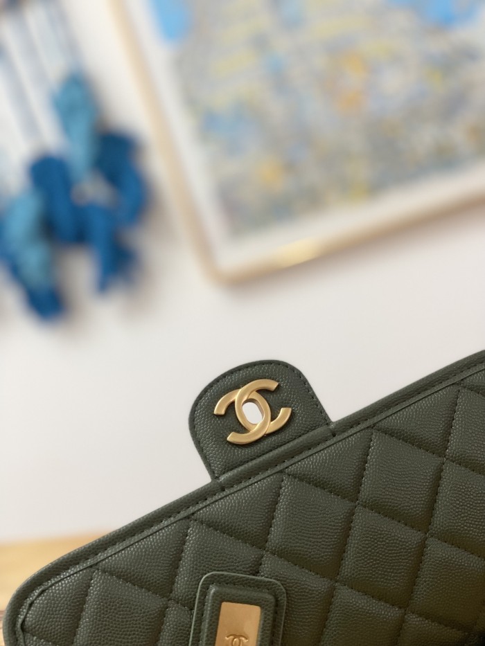  Handbag  Chanel  AS3653 size 25x21.5x7 cm