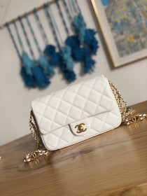 Handbag  Chanel  AS3757  size 14.5x20x6.5 cm 