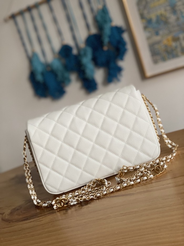 Handbag  Chanel  AS3777  size 16x24x8 cm