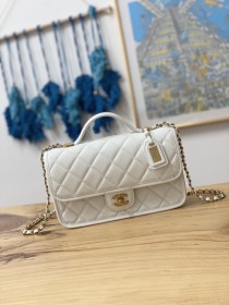  Handbag  Chanel  AS3653 size  25x21.5x7 cm