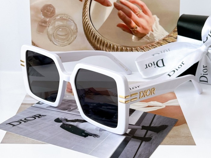sunglasses Dior 8070