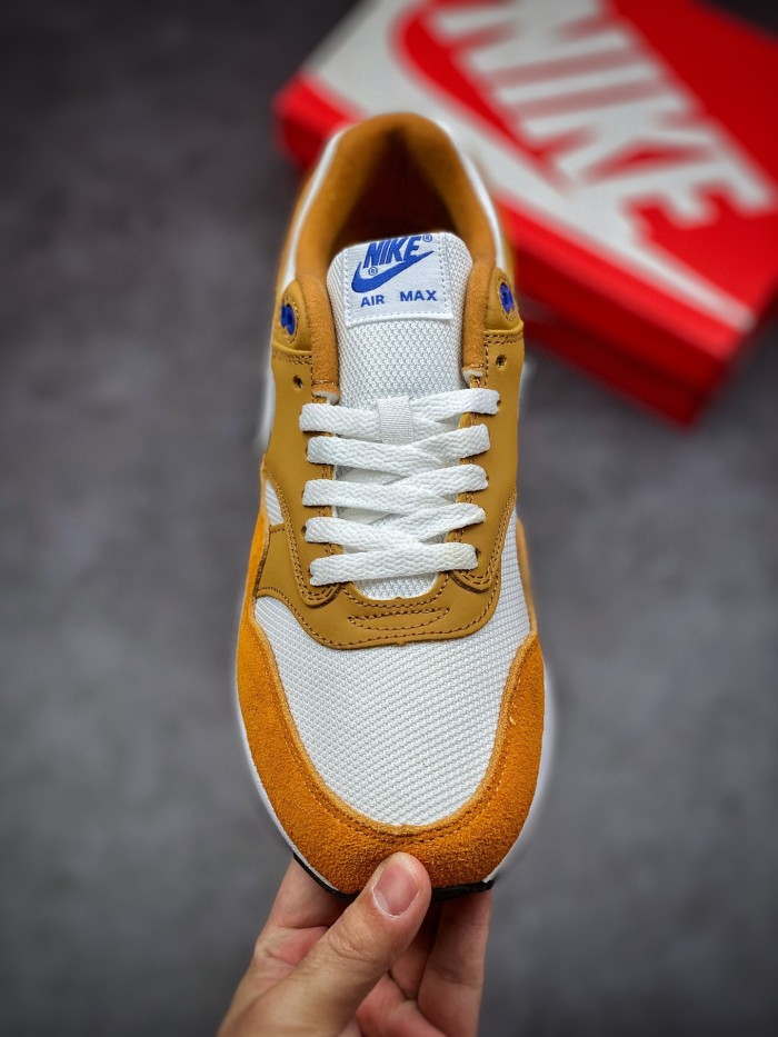 Nike Air Max 1 Curry (2018)