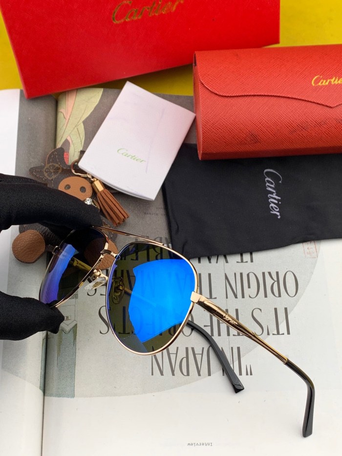 Sunglasses Cartie CK0628