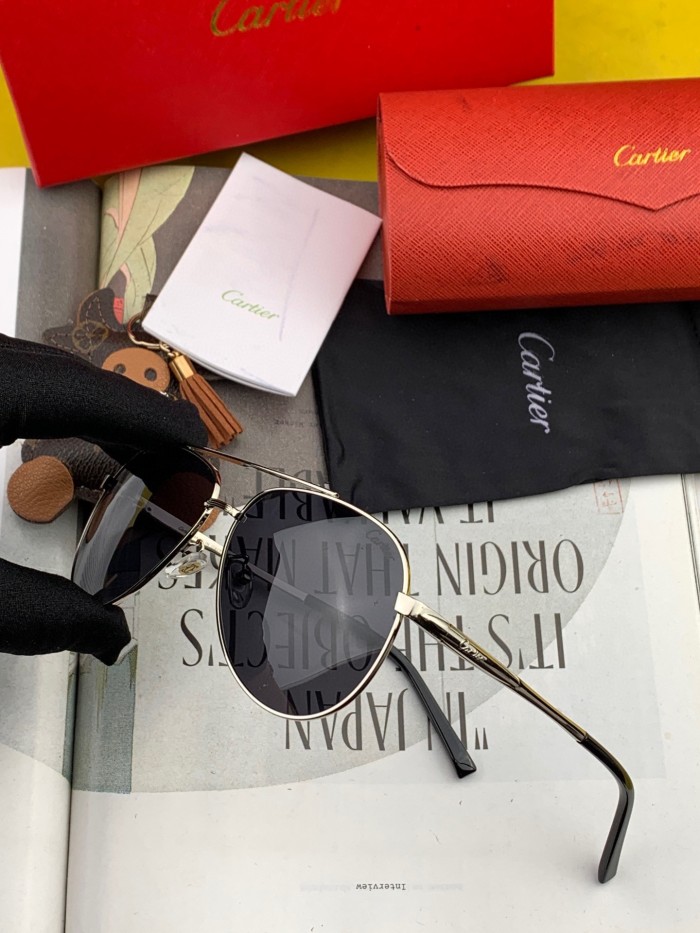 Sunglasses Cartie CK0628