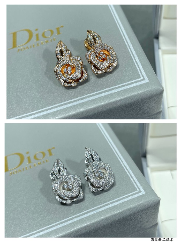 Jewelry Dior 18