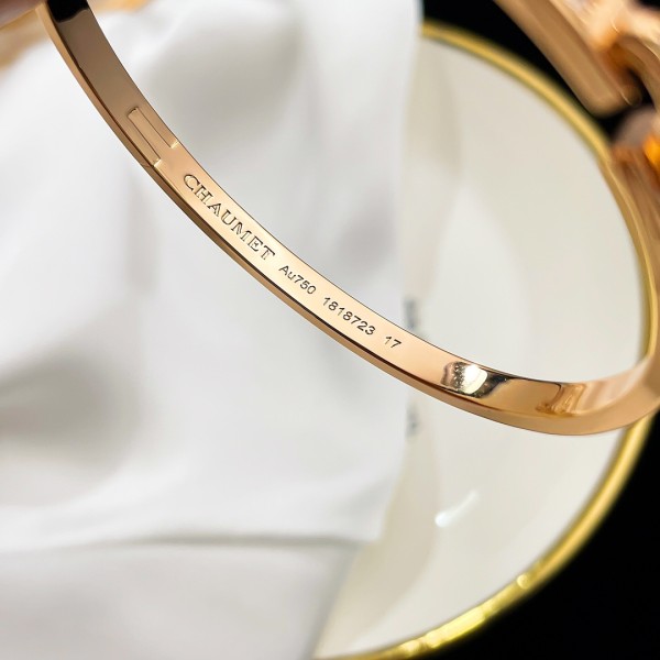 Jewelry Liens Evidence 2