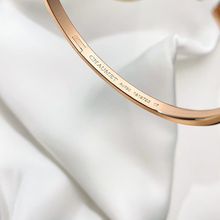 Jewelry Liens Evidence 1