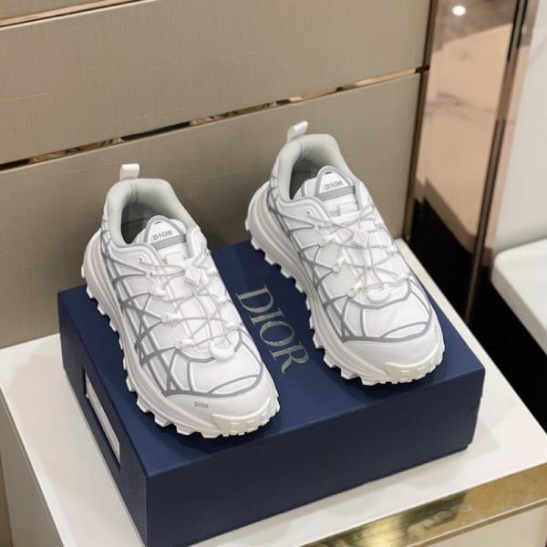 Dior B31 Runner White Grey
