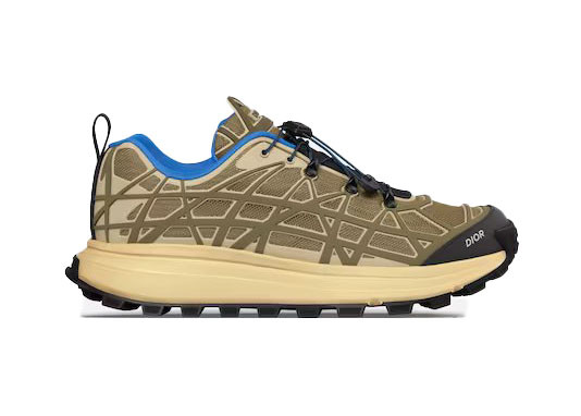 Dior B31 Runner Brown