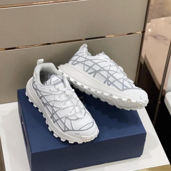 Dior B31 Runner White Grey