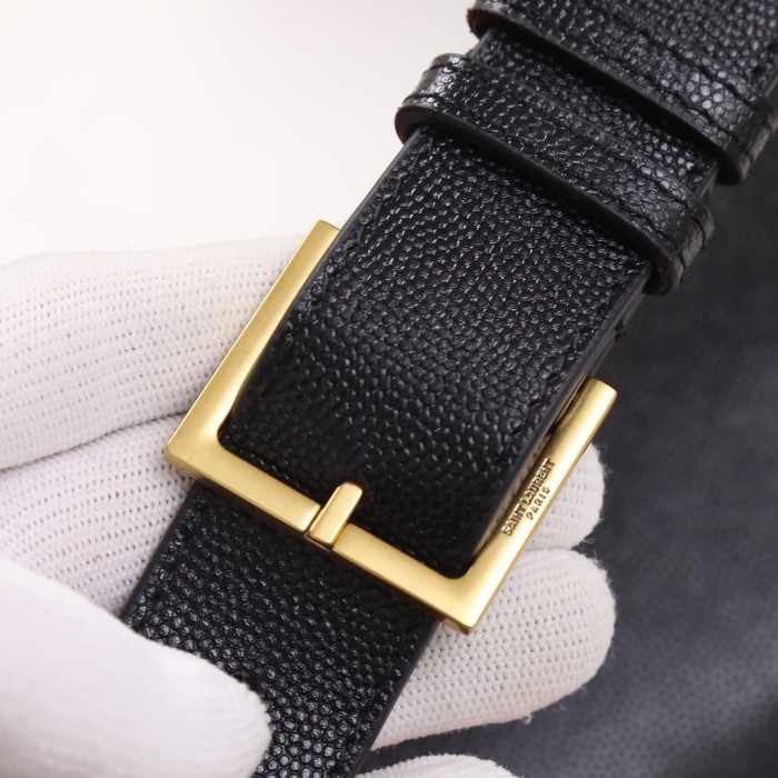 Handbags SAINT LAURENT 569737  size 25×14×3.5 cm