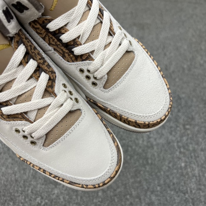 Jordan 3 Retro Palomino