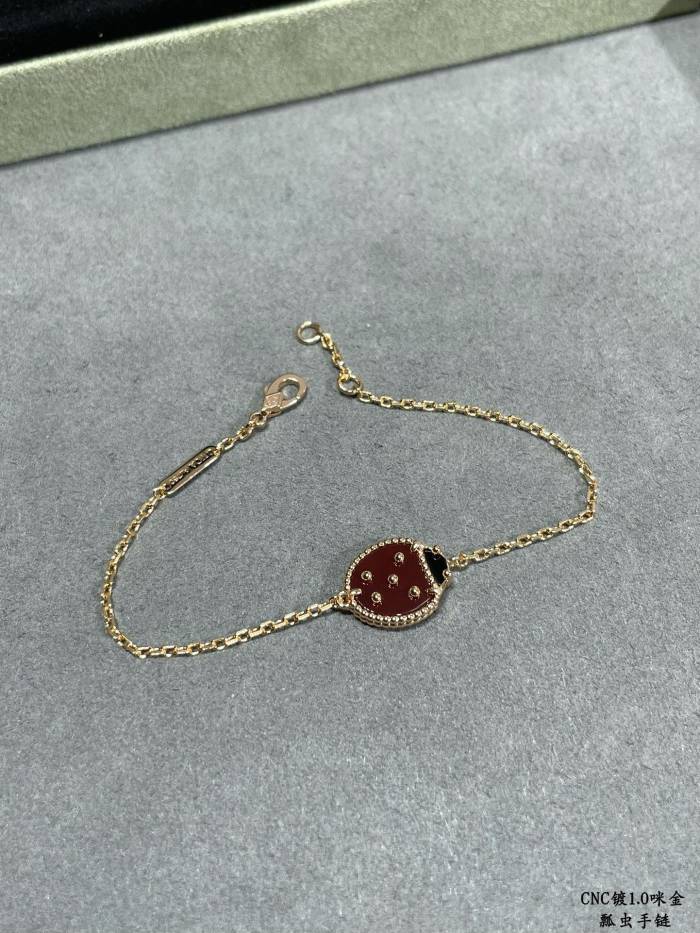 Jewelry Van Cleef x Arpels 32