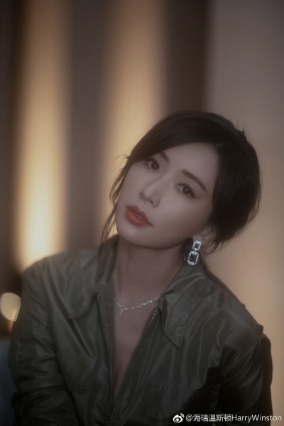 Jewelry Harry Winston 30