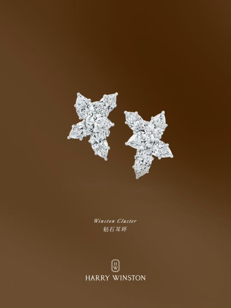 Jewelry Harry Winston 35
