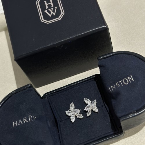 Jewelry Harry Winston 35