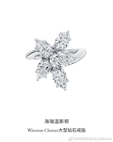 Jewelry Harry Winston 36