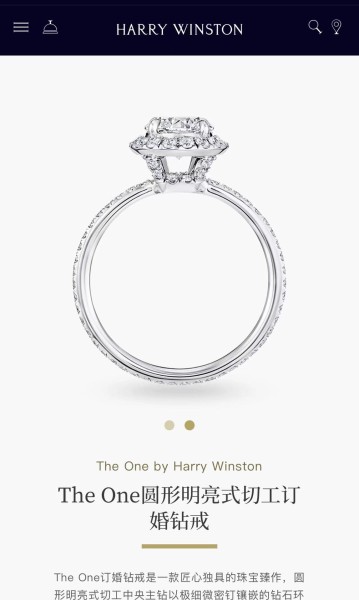 Jewelry Harry Winston 23